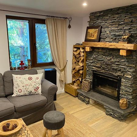 Mountain Chalet - Cabana La Muntele Baisorii Muntele Cacovei  Luaran gambar