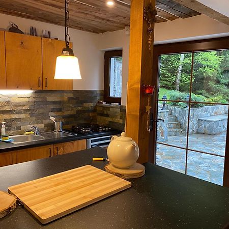 Mountain Chalet - Cabana La Muntele Baisorii Muntele Cacovei  Luaran gambar
