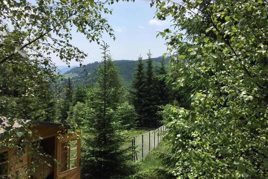 Mountain Chalet - Cabana La Muntele Baisorii Muntele Cacovei  Luaran gambar
