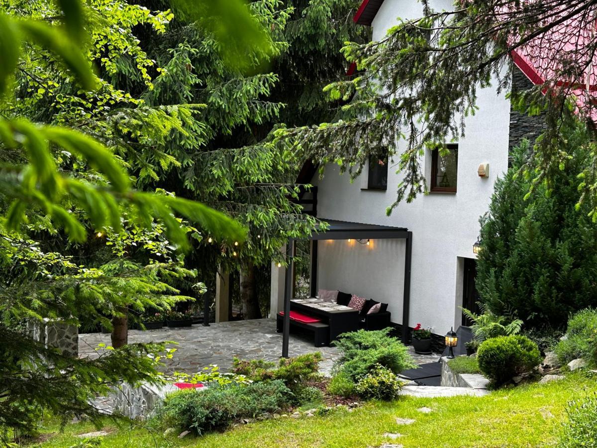 Mountain Chalet - Cabana La Muntele Baisorii Muntele Cacovei  Luaran gambar